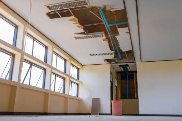 Best Flood damage cleanup  in Navesink, NJ