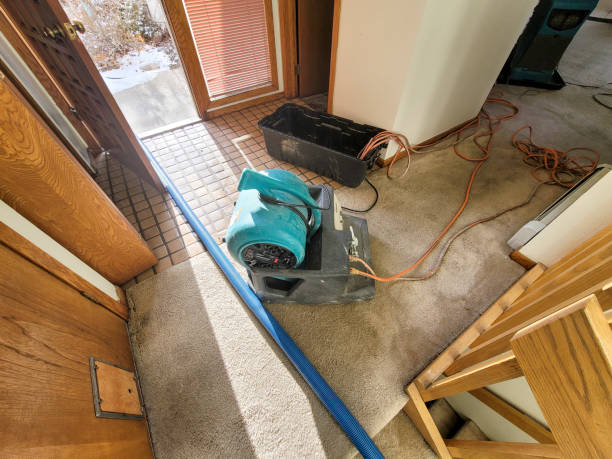 Best Water damage cleanup near me  in Navesink, NJ