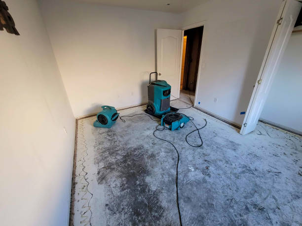 Best Ceiling water damage repair  in Navesink, NJ