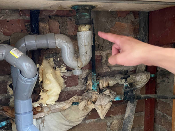 Best Water damage restoration near me  in Navesink, NJ